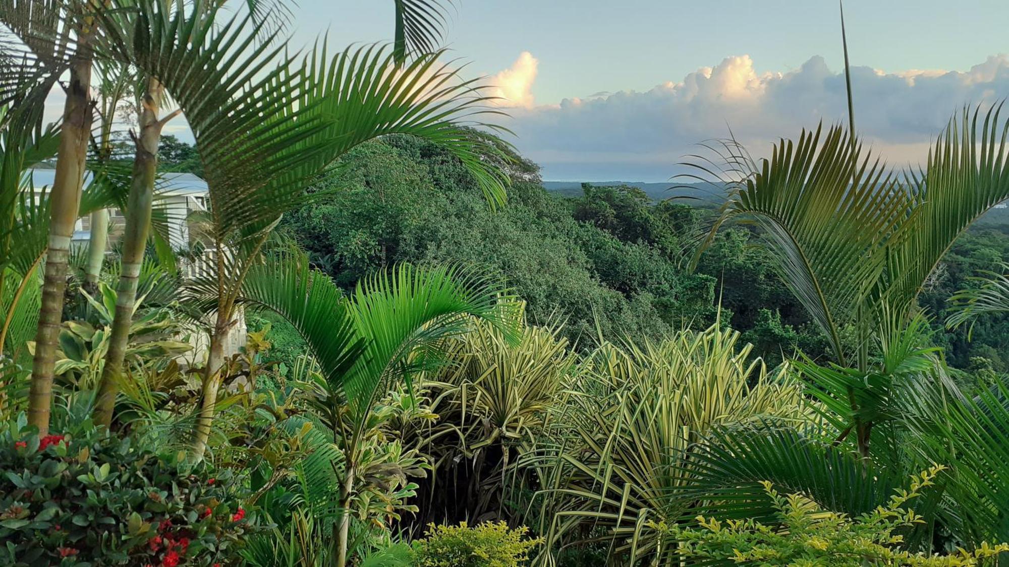 Dave Parker Eco Lodge Hotel Apia Exteriör bild