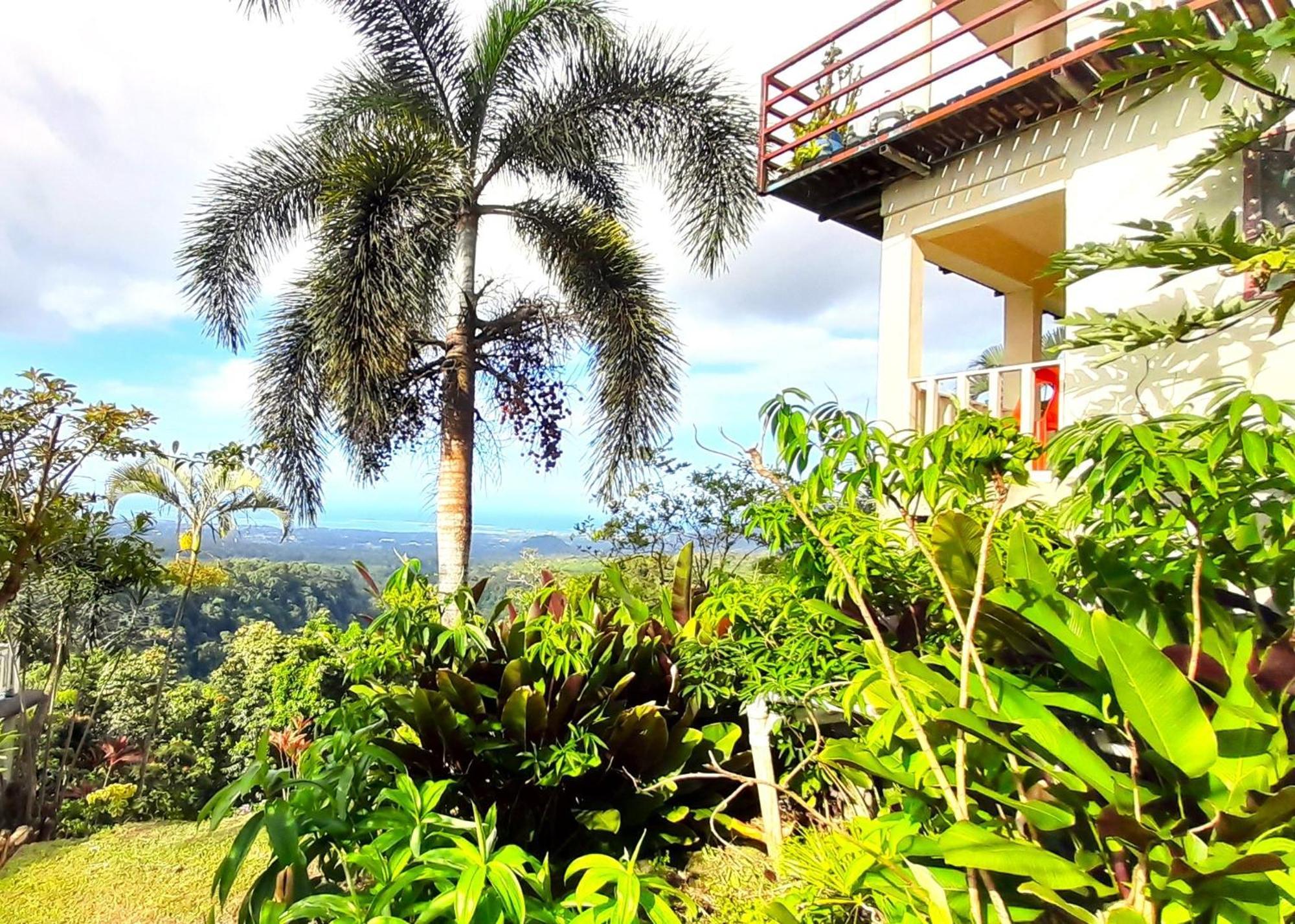 Dave Parker Eco Lodge Hotel Apia Exteriör bild