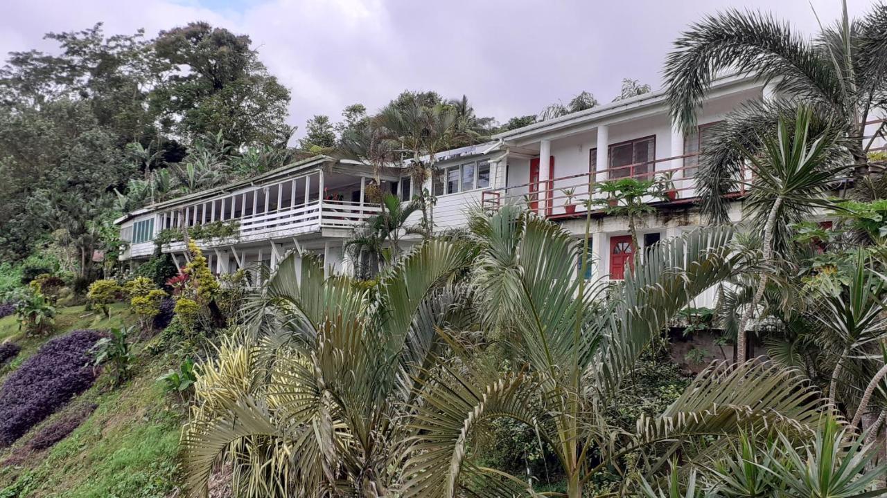 Dave Parker Eco Lodge Hotel Apia Exteriör bild